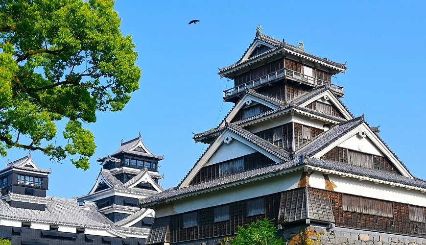 熊本城天守閣與周遭綠意