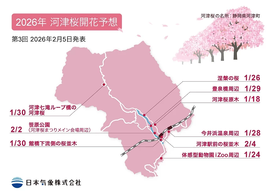 靜岡河津櫻開花時間預測