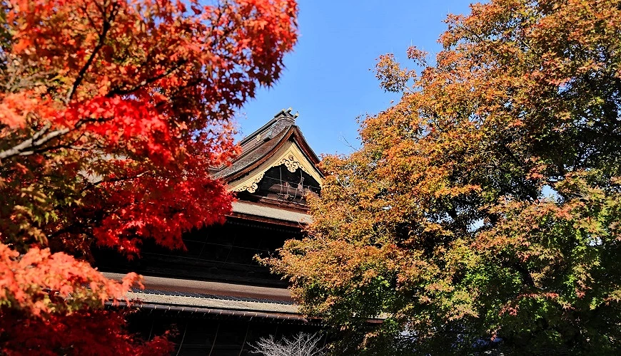 善光寺屋頂與紅葉