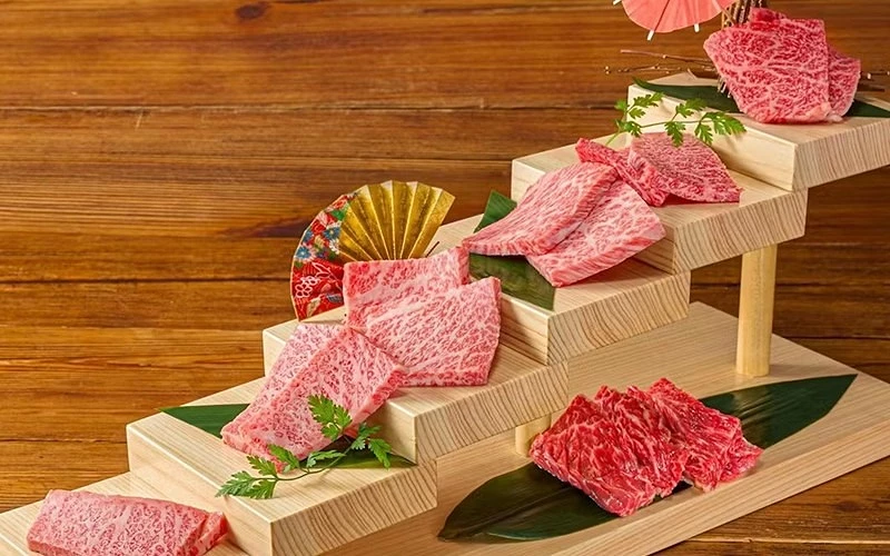 日本鎌倉燒肉出汁燒肉兜的和牛燒肉高級和牛拼盤展示