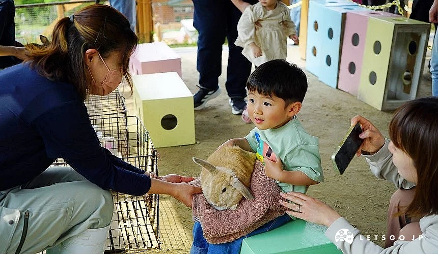 許多活動都很適合小小孩體驗!