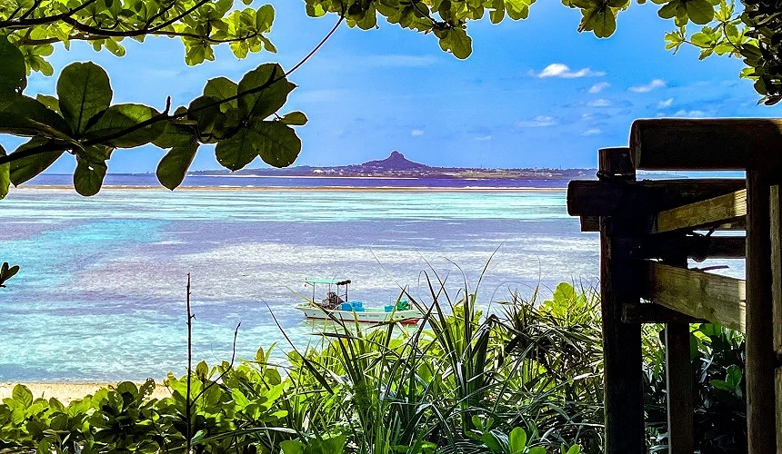 從海岸林間眺望漸層果凍海與遠方的伊江島