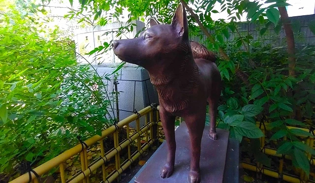 藏前神社正門鳥居右側的元犬