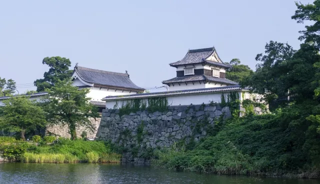 福岡城攻略：交通與門票資訊、舞鶴公園城跡散步、櫻花祭夜櫻點燈