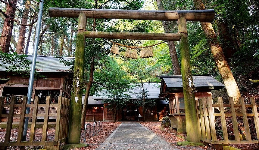 被蓊鬱古木環繞的天岩戶神社鳥居與參道,散發莊嚴寧靜的氛圍