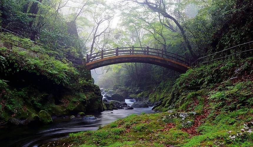 通往天安河原的步道與太鼓橋,溪谷兩旁長滿青苔,充滿神秘幽靜的自然氣息