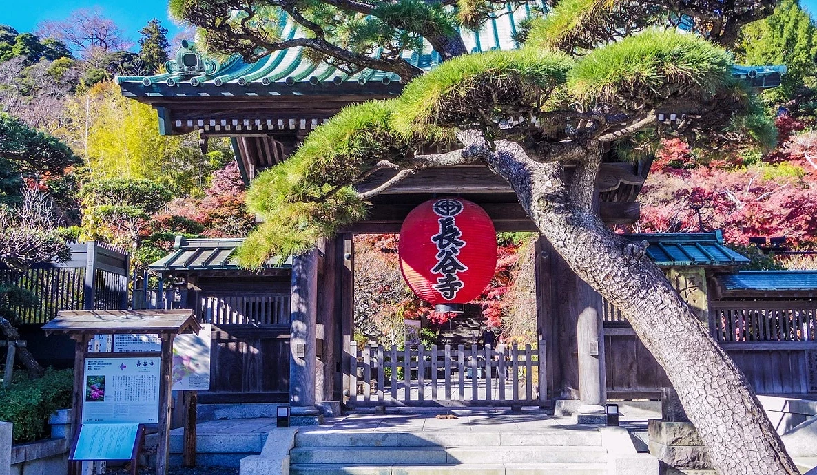 長谷寺山門