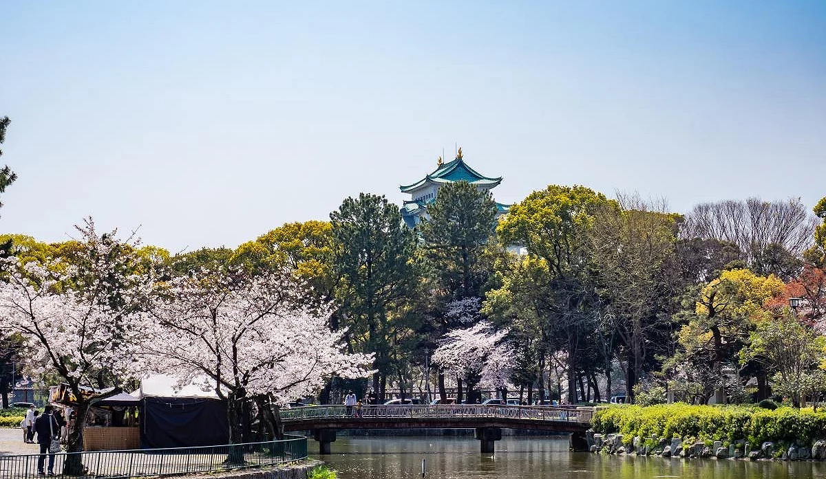 名城公園的櫻花景色