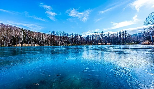 白金青池湖水