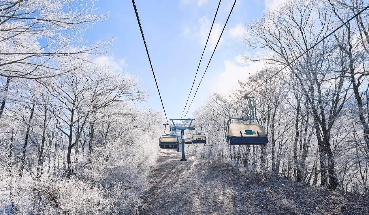 滑雪場纜車及兩旁被雪覆蓋的樹林