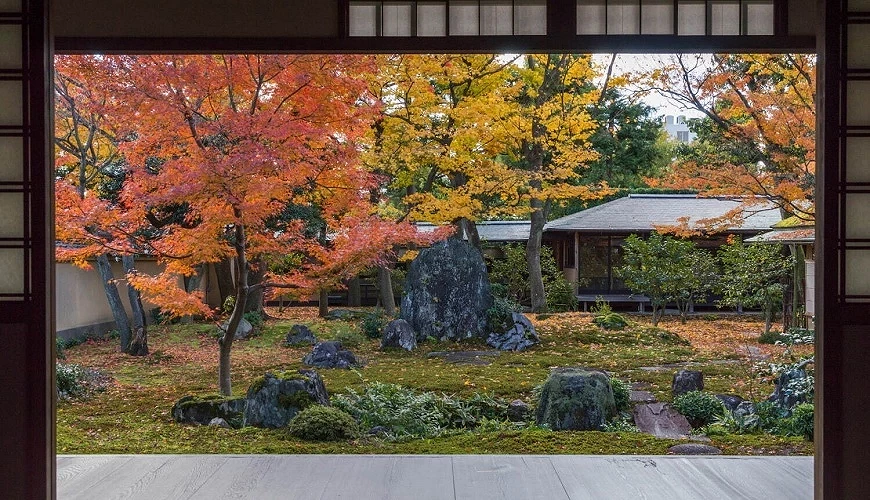 據傳由千利休製作的大德寺塔頭「黄梅院」的庭園「直中庭」
