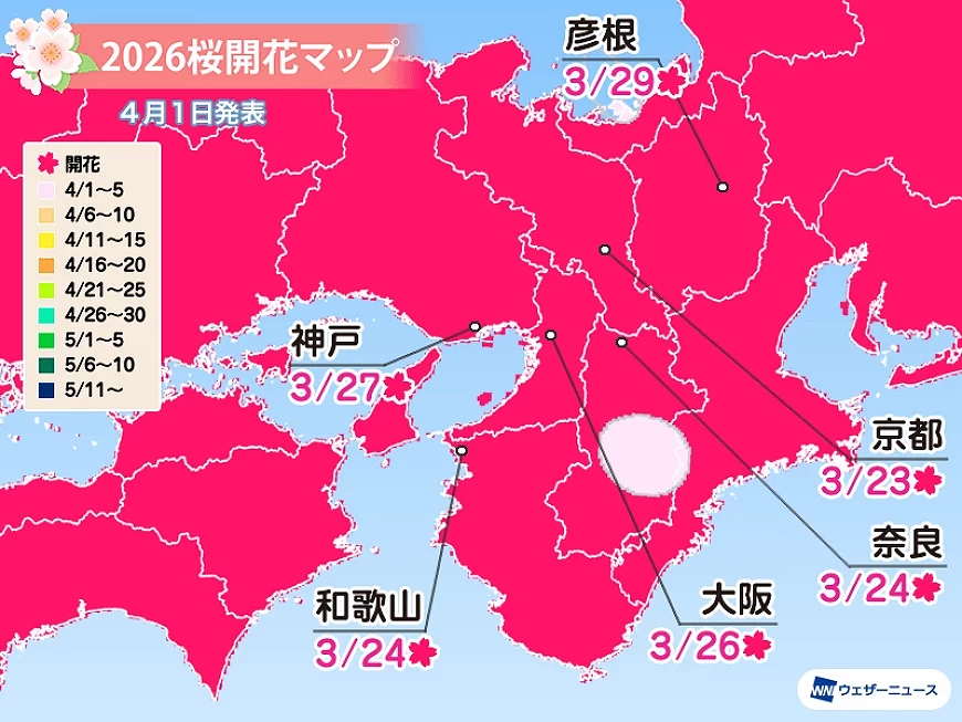 2026關西櫻花預測