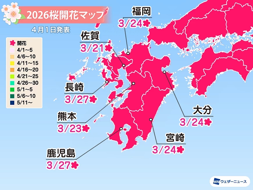 2026九州櫻花預測