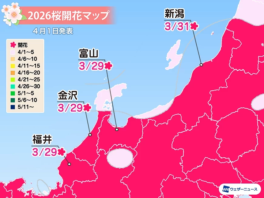 2026北陸櫻花預測