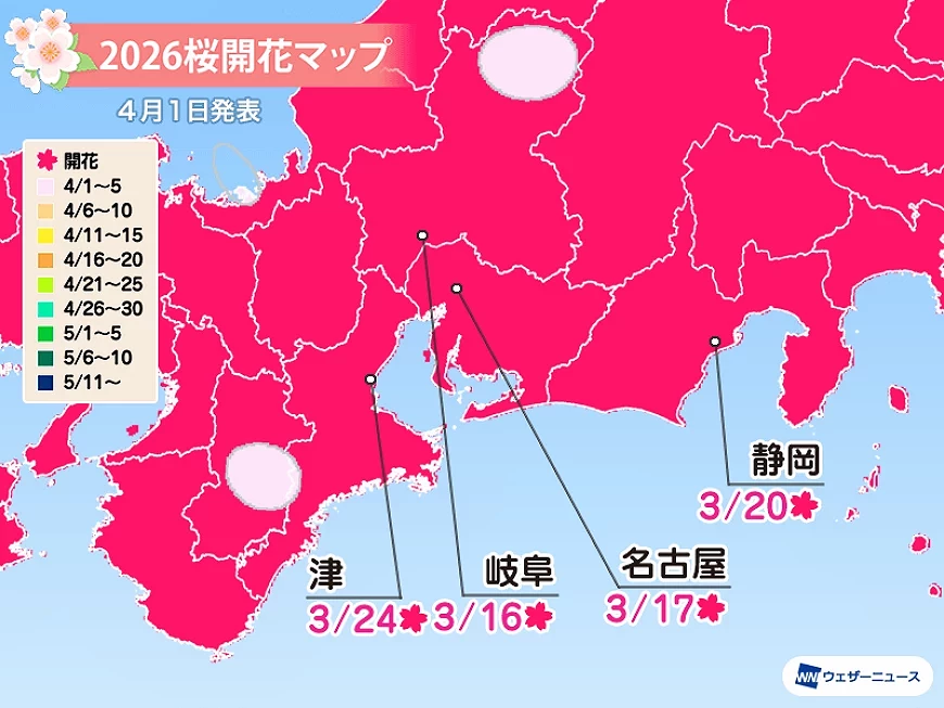 2026中部櫻花預測