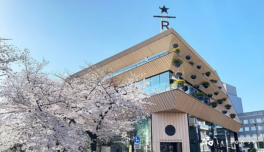櫻花盛開的目黑川旁,隈研吾設計的中目黑星巴克臻選東京烘焙工坊外觀,建築立面為木質結構與大片玻璃窗