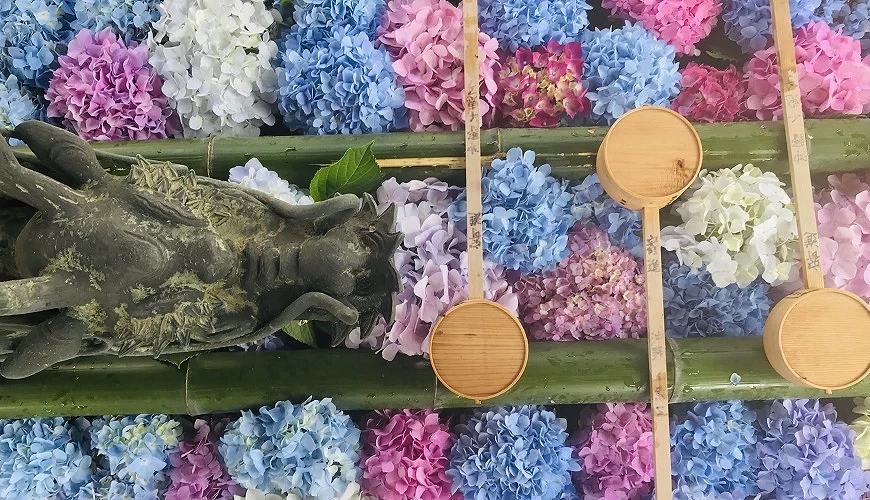 楊谷寺繽紛的花手水