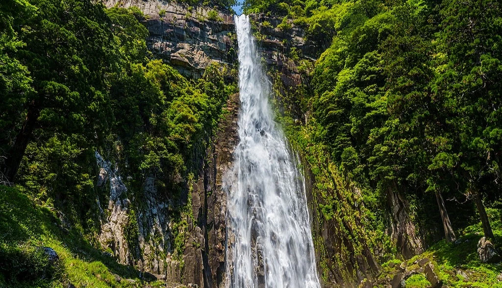 沿著山壁飛瀉而下的那智瀑布