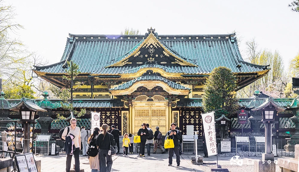 金色葉片裝飾著和綠色屋簷的富有高級感的上野東照宮金色殿及唐門
