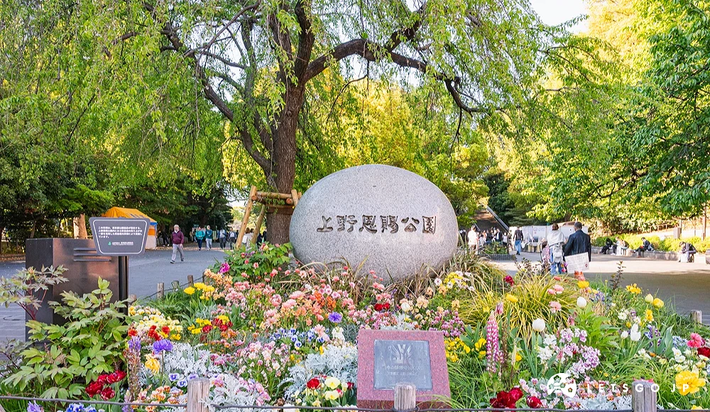 上面寫著上野恩賜公園石頭前方開著五顏六色花朵的