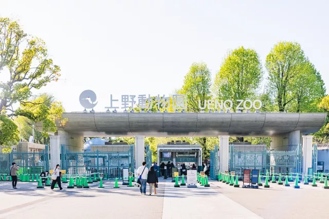 上野動物園完整攻略：門票價格、明星動物、美食、紀念品整理