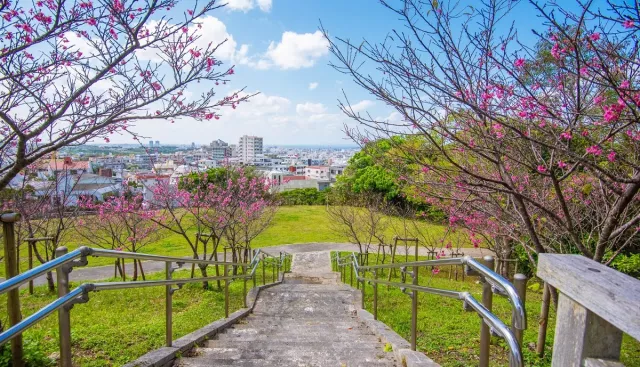 浦添大公園攻略：交通、停車場、溜滑梯、浦添城跡一次看懂 的縮圖