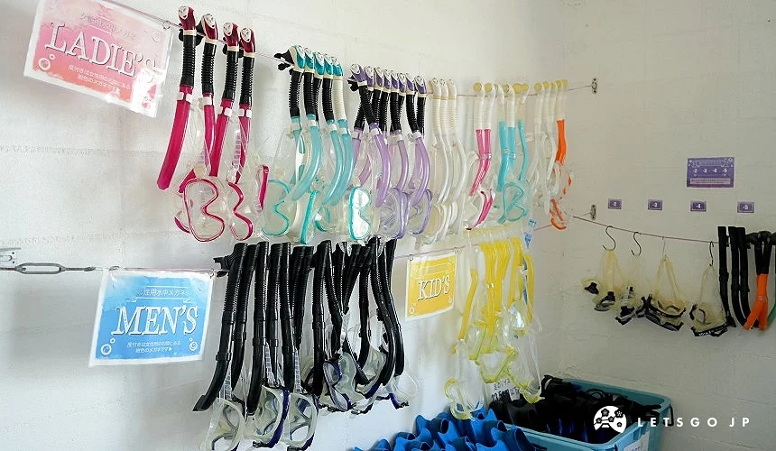 潛水設備皆依男女、尺寸分類