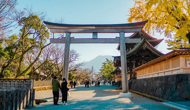 阿蘇神社橫參道與石造鳥居,遠方可見樓門與山景,右側有金黃色銀杏樹
