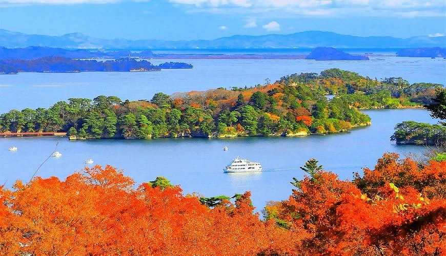 松島灣秋天景色,紅葉環繞的島嶼浮於海面,中央可見松島遊船航行