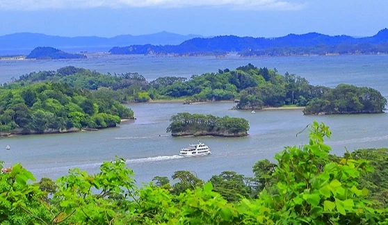 松島灣夏季景色,藍色海面上散布多座綠意盎然的小島,白色遊覽船行駛於海灣中