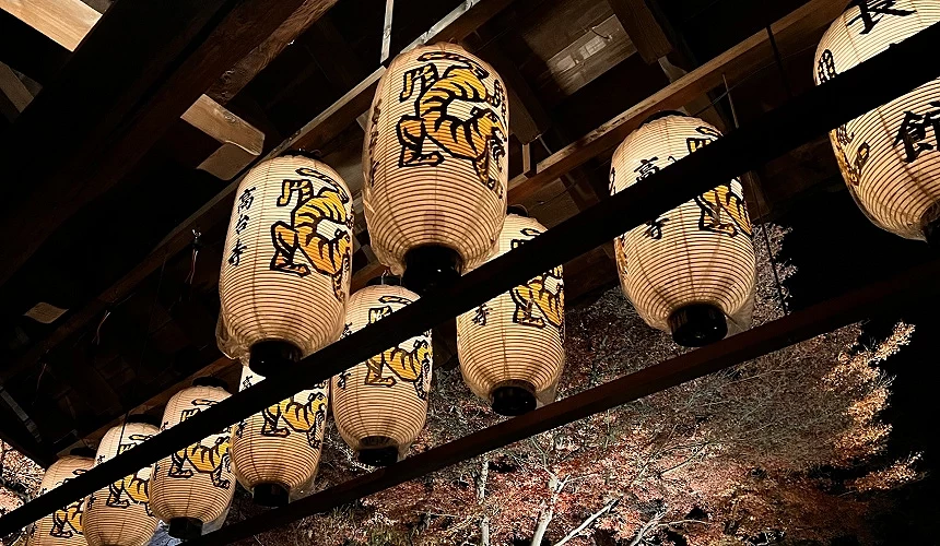 高台寺境內點亮的特色燈籠,為夜間的寺院增添神祕氛圍