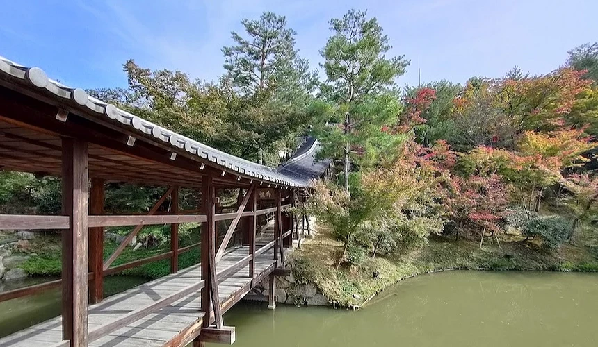 高台寺臥龍池畔的臥龍廊與秋意漸濃的紅葉美景