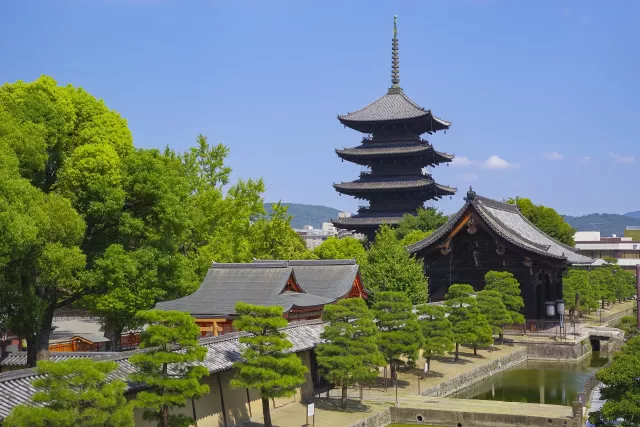 京都東寺（教王護國寺）攻略：夜櫻五重塔、弘法市、門票交通、開放時間