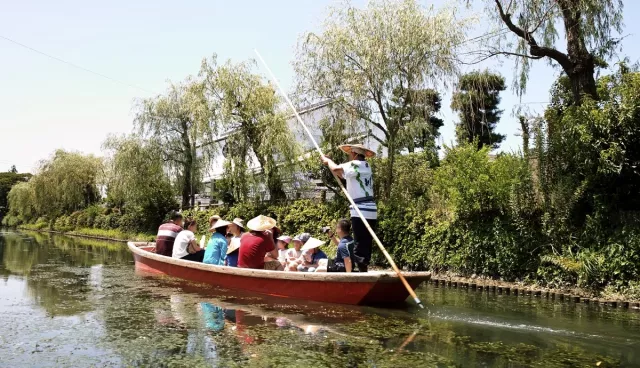 柳川遊船7家公司完整比較：費用、乘船場、預約方式、季節限定一次看
