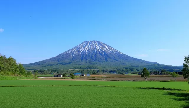 羊蹄山攻略！蝦夷富士景點、湧水、美食、自駕一日遊推薦 的縮圖