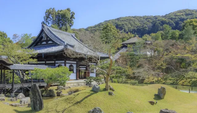 高台寺攻略：交通、夜楓參拜、寧寧之道與圓德院共通券【2026最新】