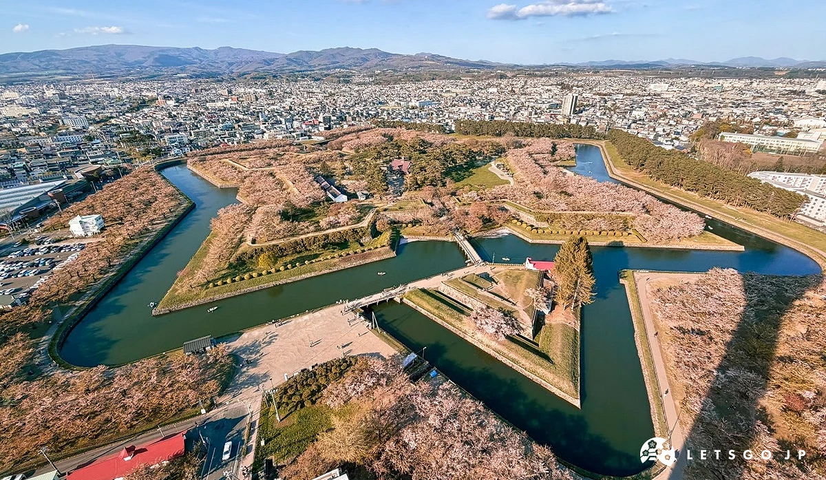 春天櫻花盛開的五稜郭公園全景