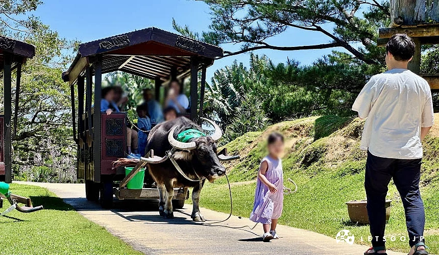 小女孩拉著水牛車的引繩攝影:Angie