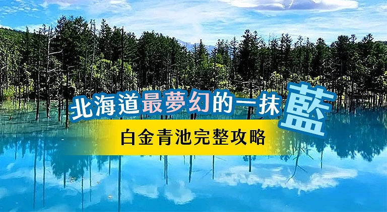 （專欄文）白金清池