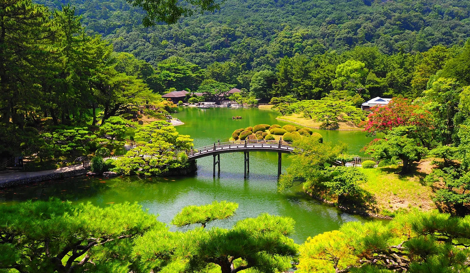 從飛來峰眺望園內及偃月橋