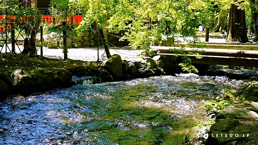 穿越神社境內綠蔭的賀茂川支流