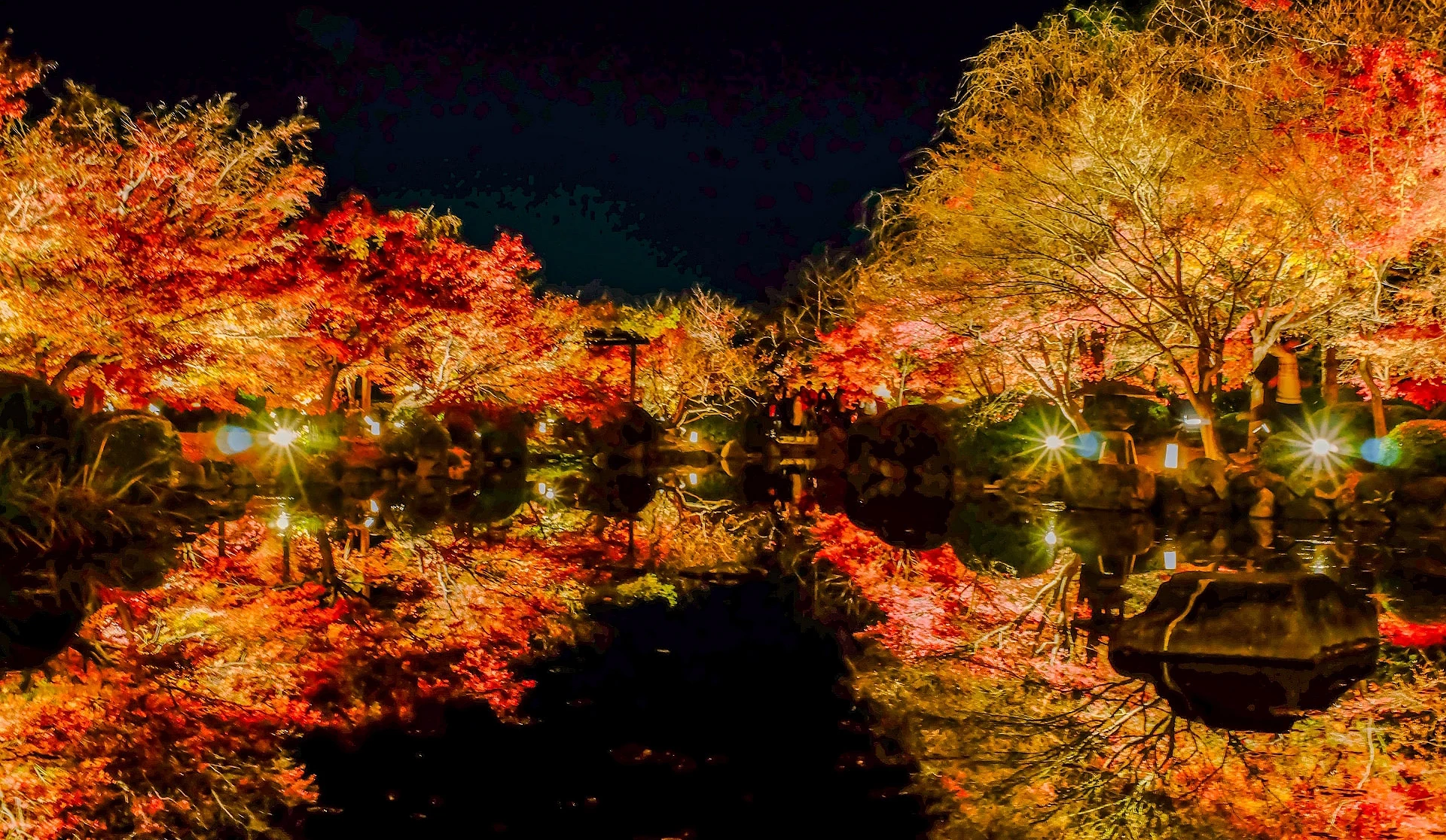 東寺的秋季紅葉點燈