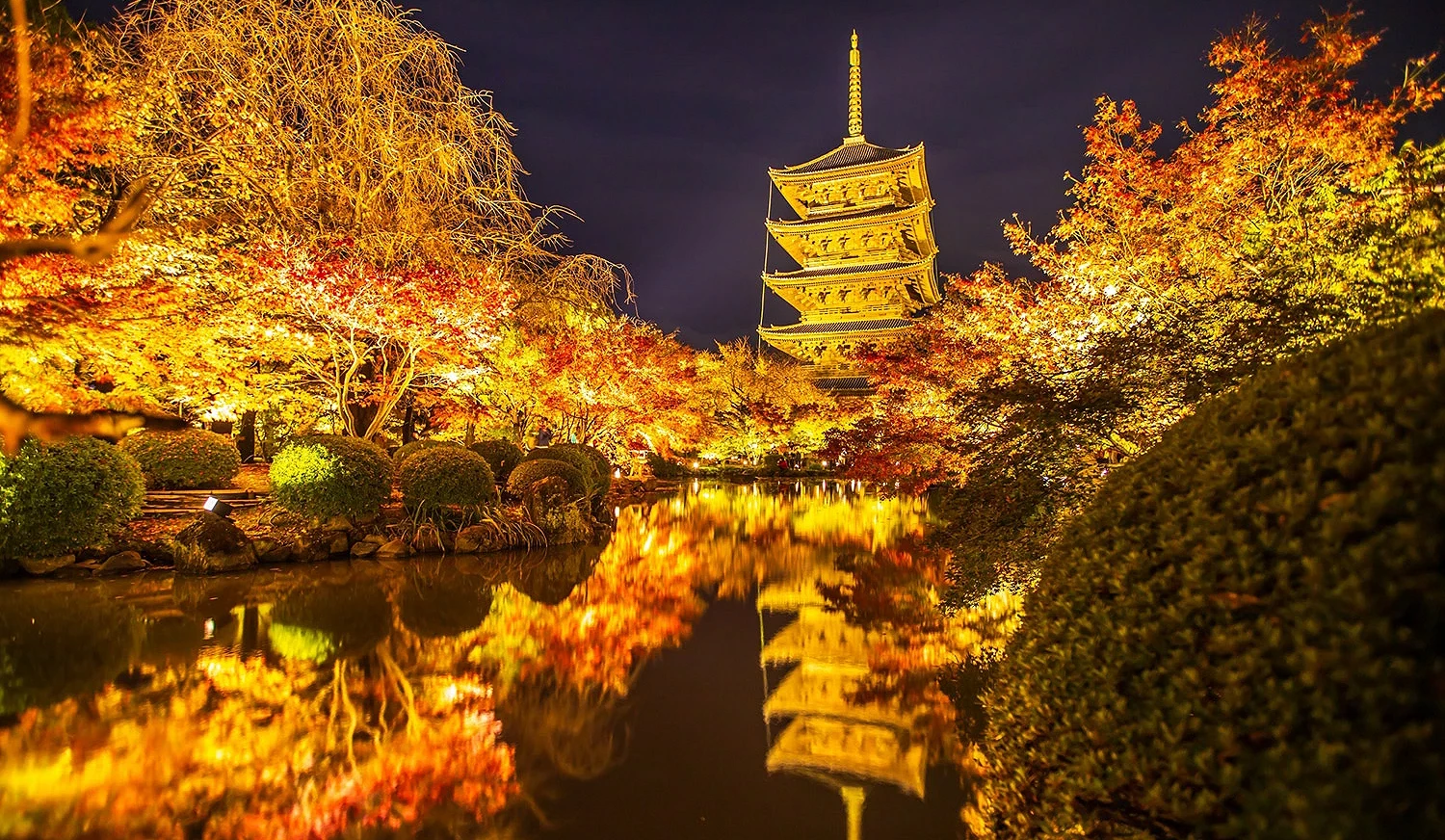 東寺瓢簞池的楓葉、五重塔與水面倒影