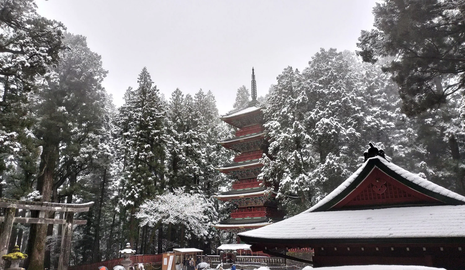 日光東照宮的雪景