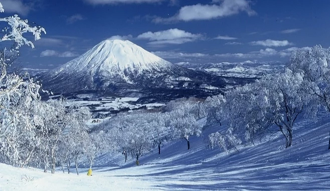 冬天感受白雪覆蓋的震撼力