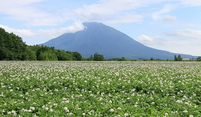 夏天是最適合登山的季節