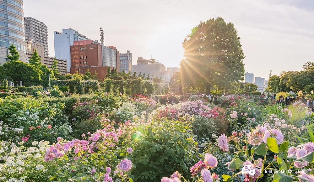 置身在城市花園中,百花齊放充滿生機