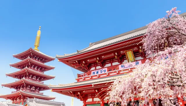 2026東京景點推薦20選：親子、近郊、新景點、四季玩法完全攻略