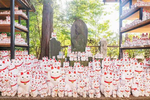 豪德寺招財貓聖地攻略：招福電車、交通、御守、美食一次弄懂