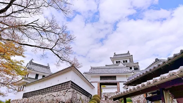 郡上八幡攻略：天空之城郡上八幡城，門票交通、城下町老街美食一篇整理